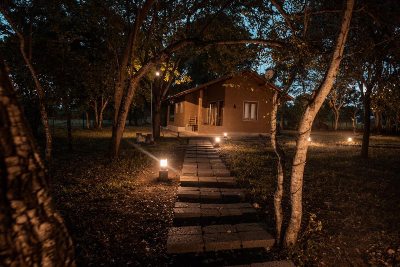 Tranquil Wild Lodge *