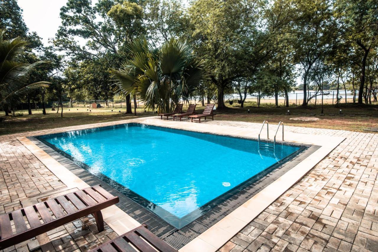 Tranquil Wild Lodge