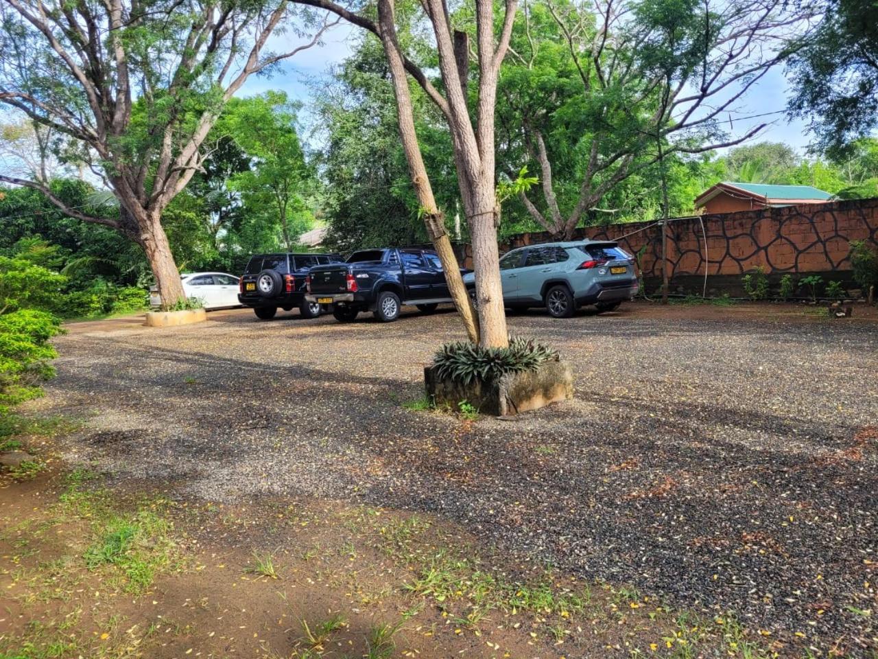 Lodge Tranquil Wild